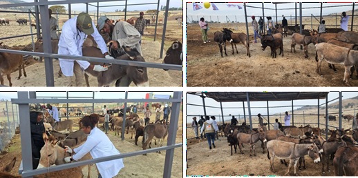 openingsceremonie health post