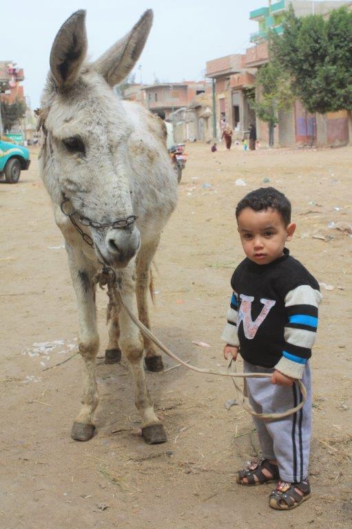 jongetje met ezeltje Egypte