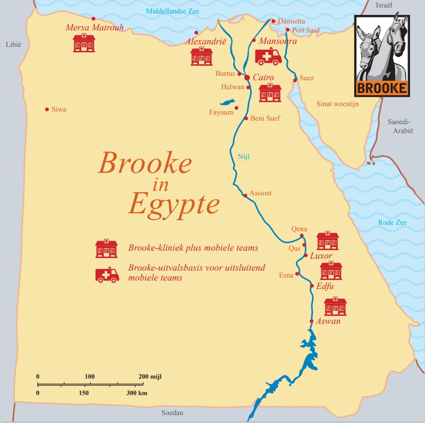 Brooke in Egypte
