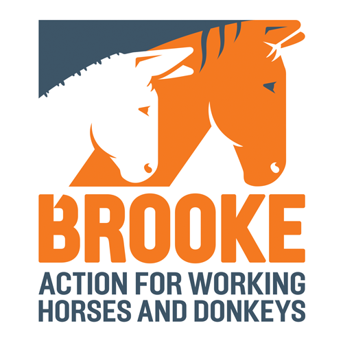 Brooke-UK logo