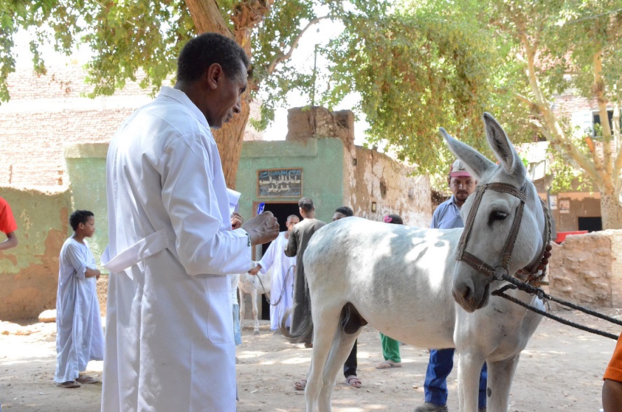 dr. Alaa en één van de deelnemers