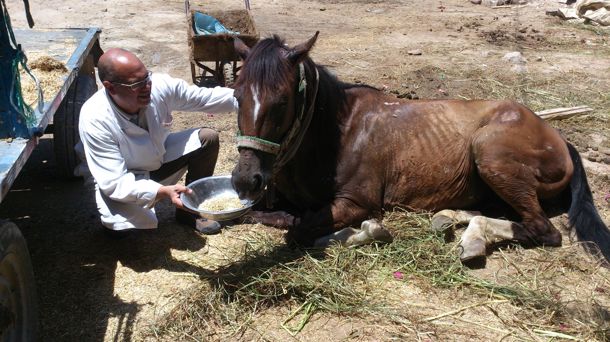 Dr. Mahgoub met een patiënt, Brooke-Alexandrië