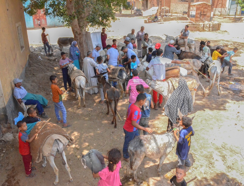 hulpcampagne Beni Suef